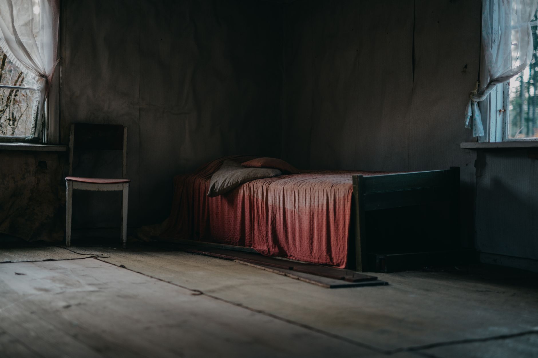 Traitement punaises de lit à Draveil